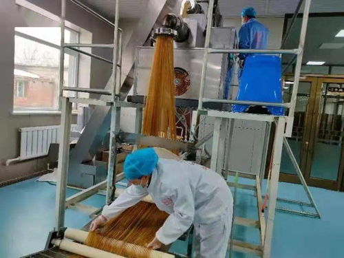 白城燕麦产业走进新时代 健康中国主食行 龙种 燕麦系列产品产研合作研讨会召开