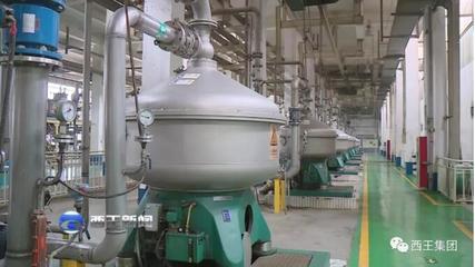 西王糖业生产系统立标杆抓关键 降本增效成果显著