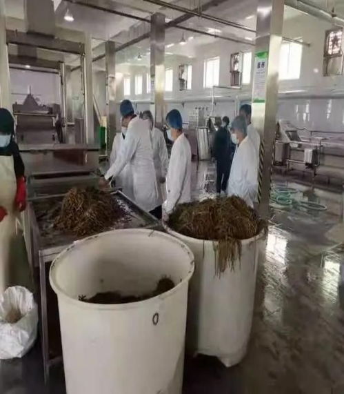 衡水市场监管局针对315晚会食品安全问题开展排查