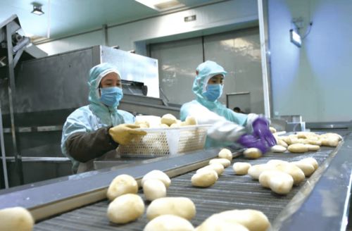 定西 三链 联动助推高质量发展