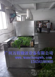 叶干 叶干价格 报价 叶干品牌厂家